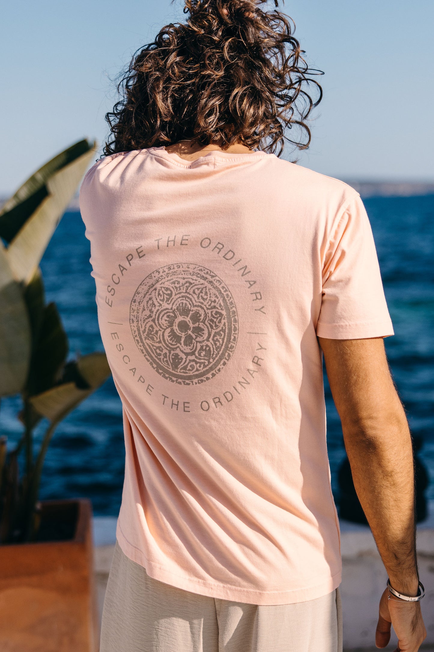 Albert t-shirt